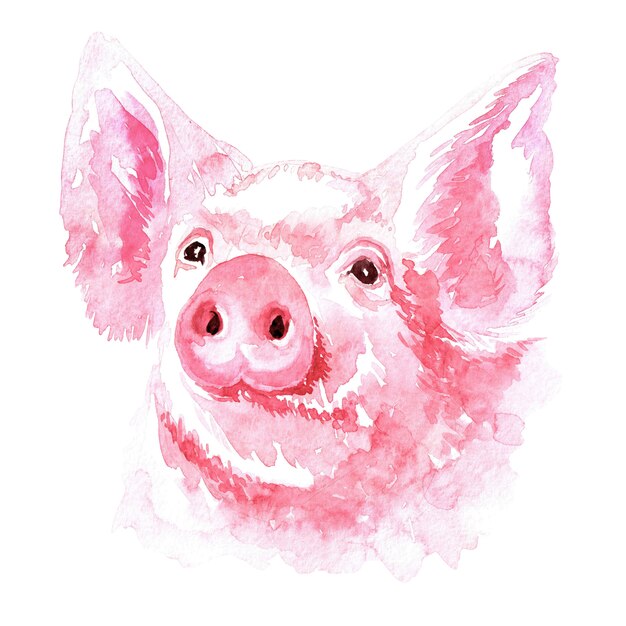 Premium Photo | Watercolor image of a piglet.