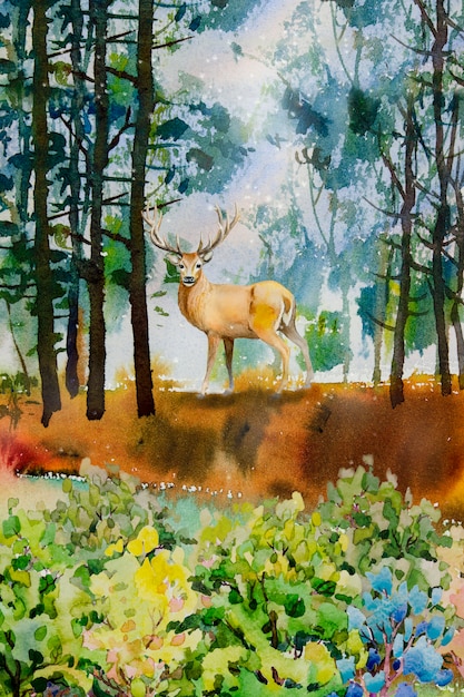 Premium Photo | Watercolor landscape of male animal, deer concept.