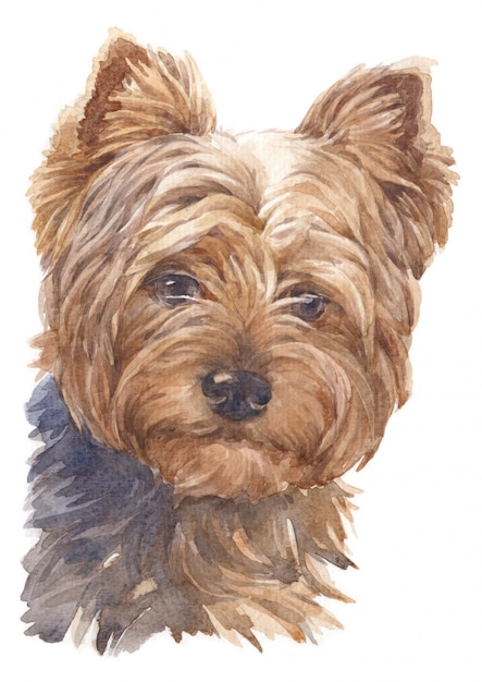 小型犬 茶色の羽 ヨークシャーテリアの水彩画 プレミアム写真