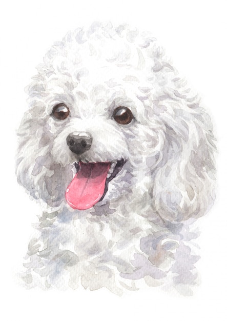 Premium Photo | Watercolor painting of poodle