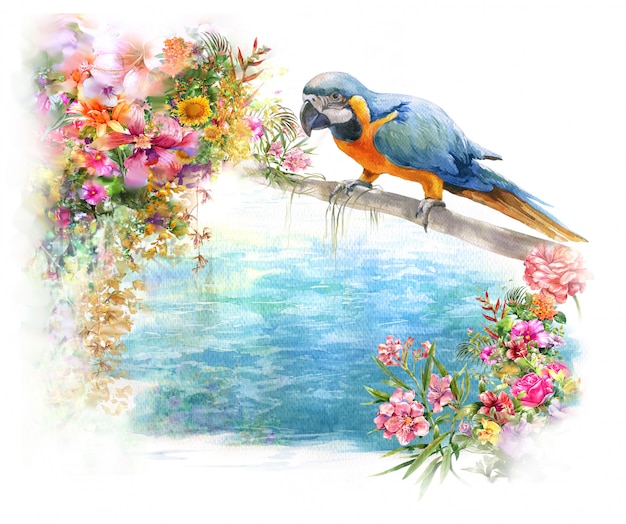 Parrot Colour Drawings Of Flowers And Birds - Jacinna mon