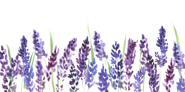 Premium Photo | Watercolor painting with lavender flowers isolated