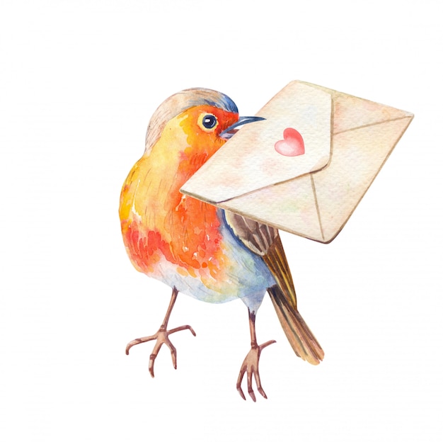 水彩ロビン鳥erithacus Rubecula 水彩の手描きイラスト プレミアム写真