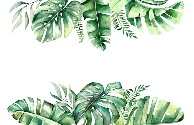 Premium Photo Watercolor Tropical Leaves Border