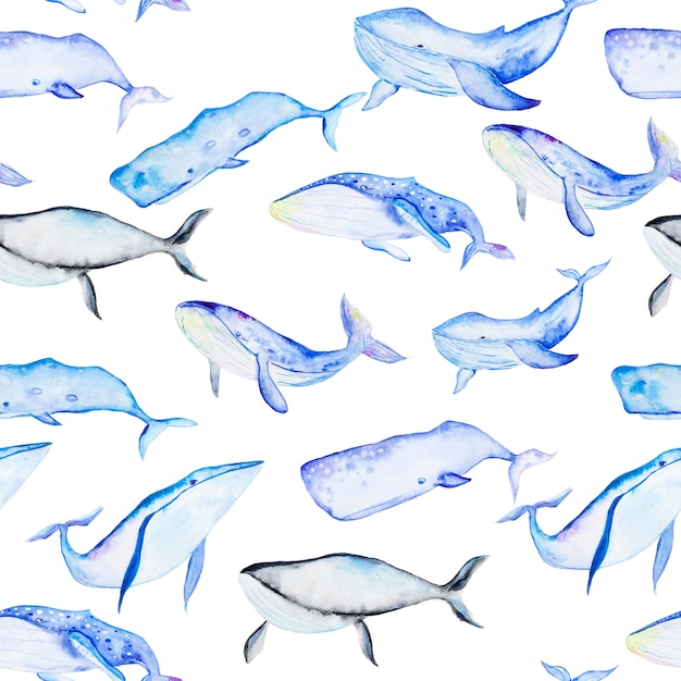 Premium Photo Watercolor whales seamless pattern