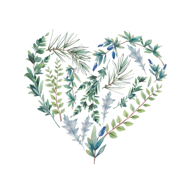 水彩の冬の植物の心 手描きの花のイラストが白い背景で隔離 自然なグラフィックラベル 葉と枝で構成されるハートシルエット プレミアム写真