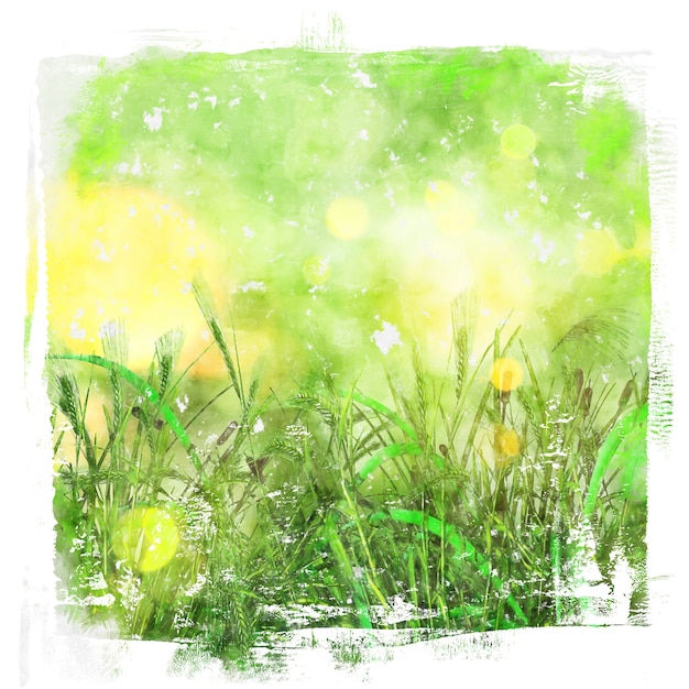 緑の草の水彩画のイメージ 無料の写真