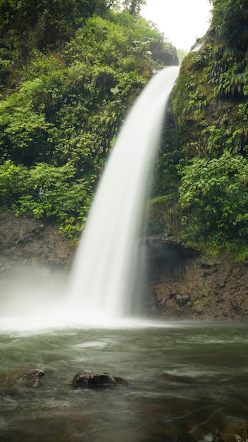 Waterfall in beautiful costa rican rainforest Free Photo