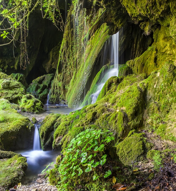 Premium Photo | Waterfall in the jungle of stones covered with green moss