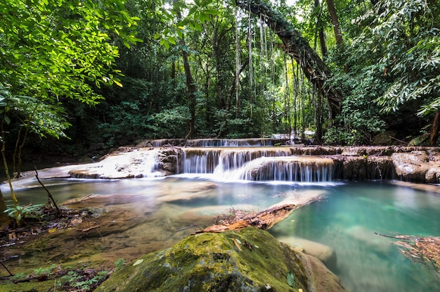 Premium Photo | Waterfall in tropical forest at erawan national park ...