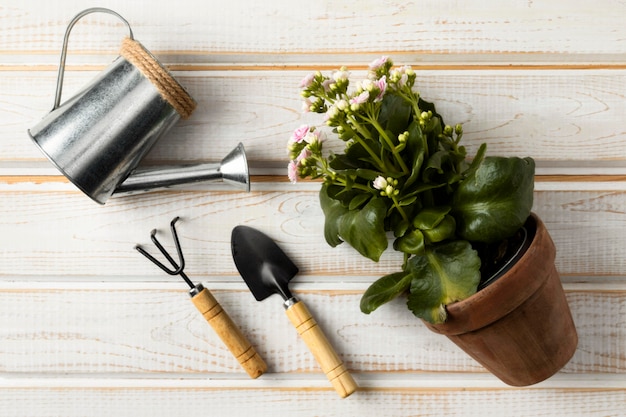 Free Photo | Watering can and flower pot