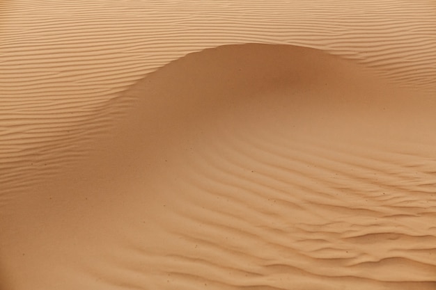 砂のテクスチャの波 砂漠の砂丘 砂のバルハンの美しい構造 プレミアム写真