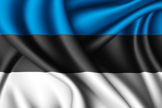 Результат пошуку зображень за запитом флаг эстонии