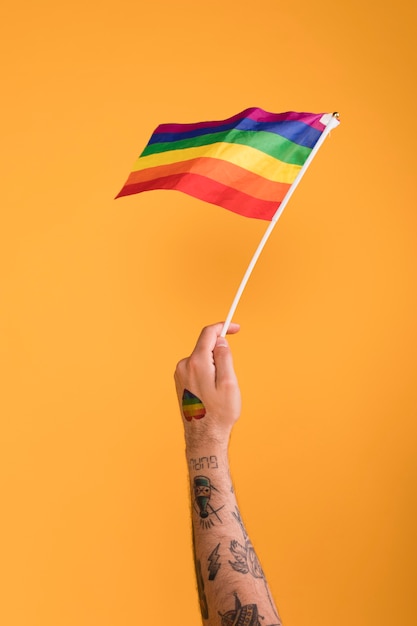 texas gay pride flag photo
