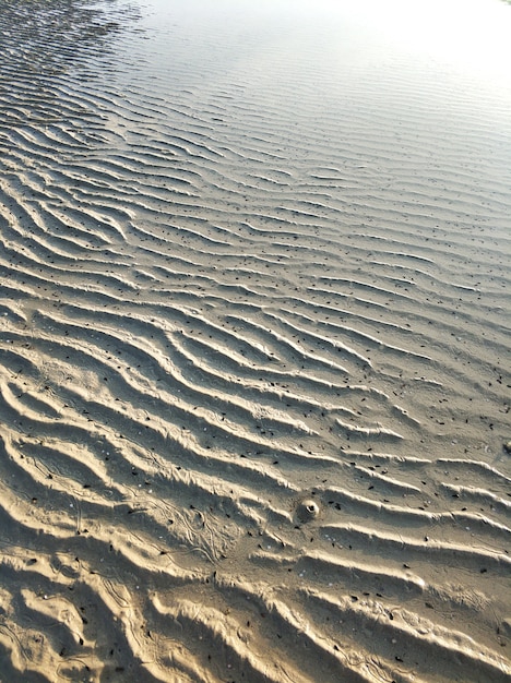 Premium Photo | Wavy surface of the sandy ocean floor near the shore at ...