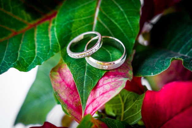 Premium Photo | Wedding rings on leaves