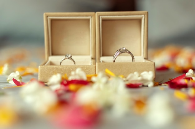 Premium Photo | Wedding rings on wedding ceremony day