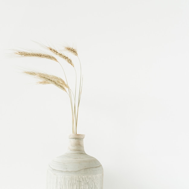 Premium Photo | Wheat spikes bouquet in wooden vase on white.