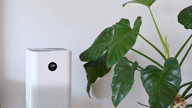 Premium Photo | White air purifier and houseplant in living room for ...