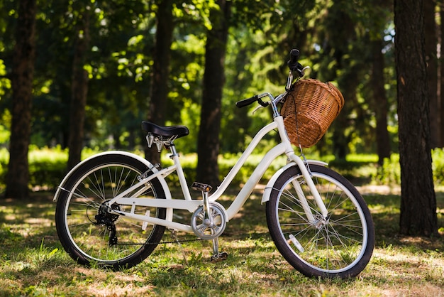 bike on ground