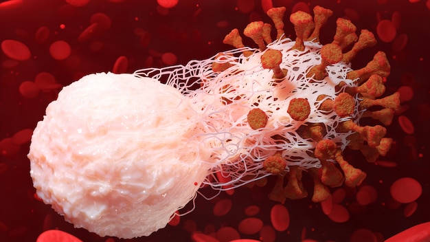 White Blood Cell Immune Phagocytosis Coronavirus Covid 19 Disease Cells