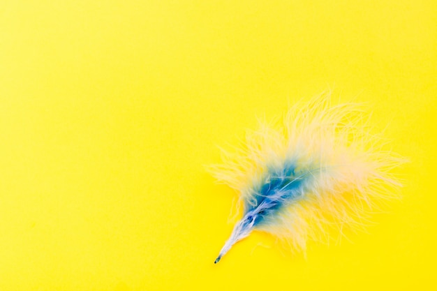 黄色の背景に白青のふわふわの鳥の羽 プレミアム写真