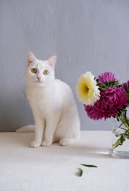 Premium Photo | White cat and pink flowers in vase.