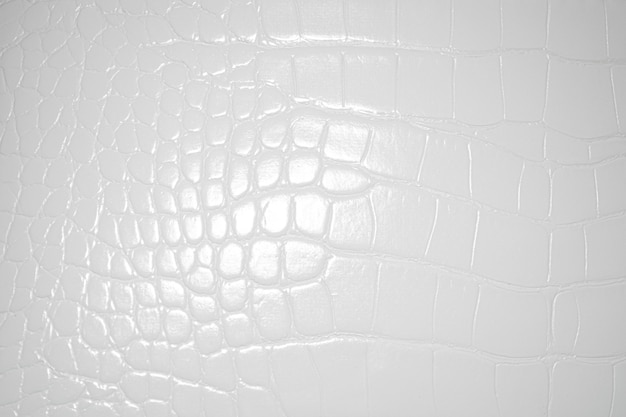 White Crocodile Skin Leather, White Crocodile Leather