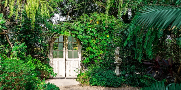 緑の木と庭の晴れた日に植物の白いドア 自然とファンタジーの背景 プレミアム写真