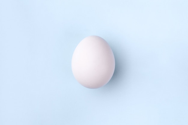 Premium Photo | White egg on blue background