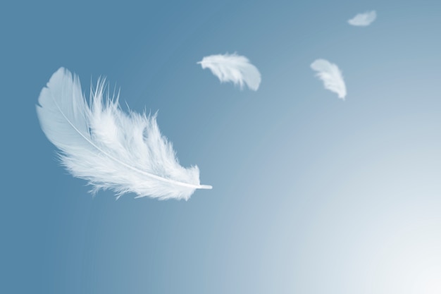 Premium Photo | White feather floating in the air.