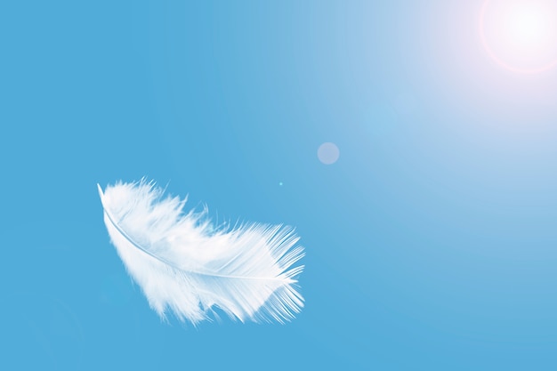 Premium Photo | White feather floating in the sky.