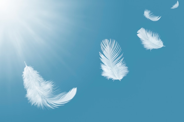 Premium Photo White Feather Floating In The Sky