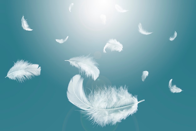 Premium Photo | White feather floating in the sky.