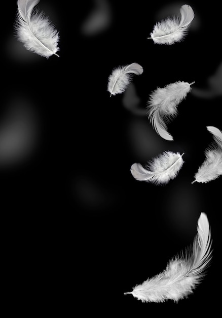 premium-photo-white-feathers-falling-in-the-dark