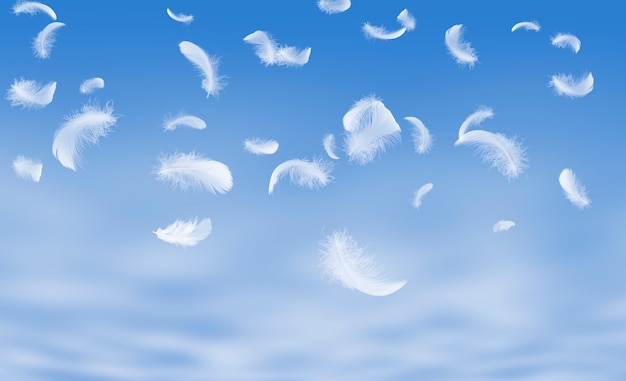 Premium Photo | White feathers floating in the sky