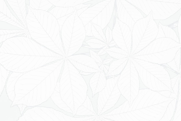 Free Photo | White flower textured background design