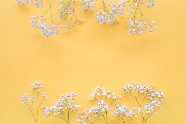 白い花は黄色の背景に囲まれています 無料の写真