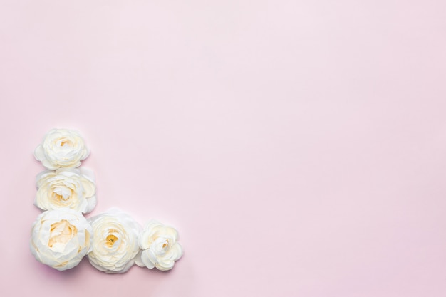 白い花の組成ピンクの背景 無料の写真