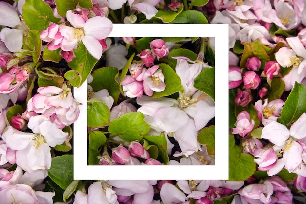 花の背景に白いフレーム 春の花のボーダー ピンクと白の花 緑のリンゴの木の葉 トップビュー 春の花のコンセプト フラットレイアウト プレミアム写真