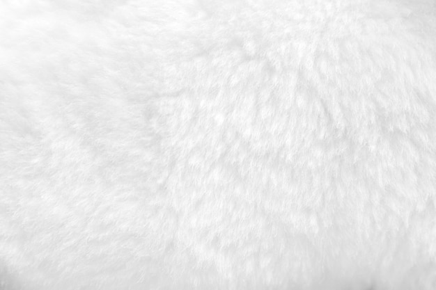 Premium Photo | White fur background close up view