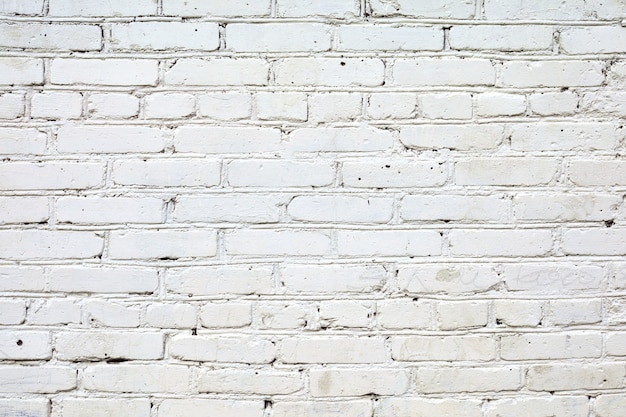 Фото на фоне белой кирпичной стены