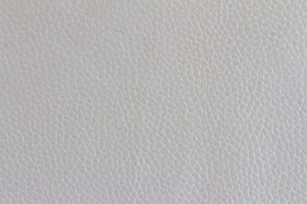 white leather sofa texture
