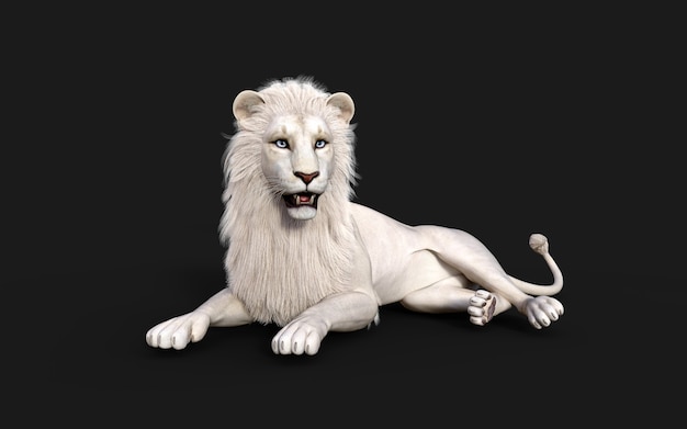 白いライオンは クリッピングパスライオンキングと暗い黒の背景に分離された行動とポーズ プレミアム写真