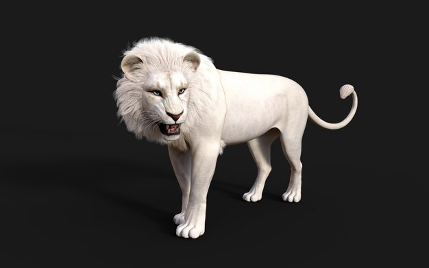 白いライオンは クリッピングパスライオンキングと暗い黒の背景に分離された行動とポーズ プレミアム写真