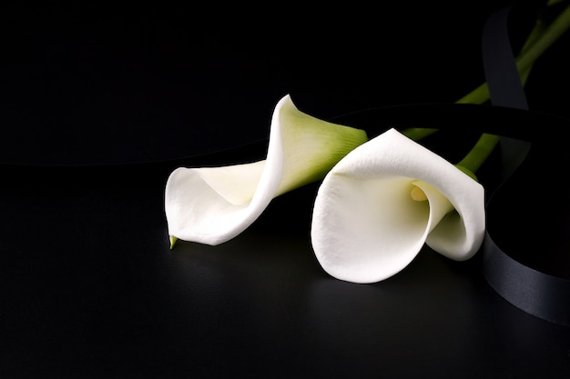 https://image.freepik.com/free-photo/white-mourning-flower-on-black_195501-982.jpg