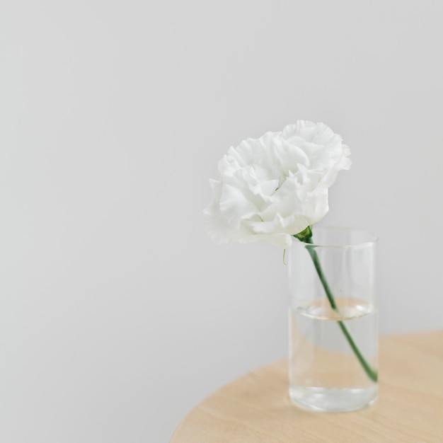 Premium Photo | White peony in a cleared vase