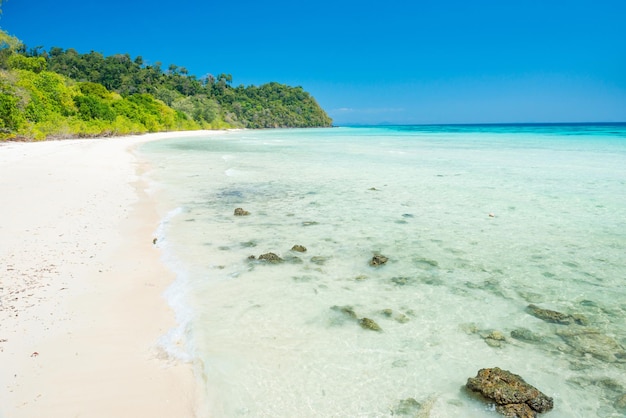 Premium Photo | White sand beach with transparent blue sea at tropical ...