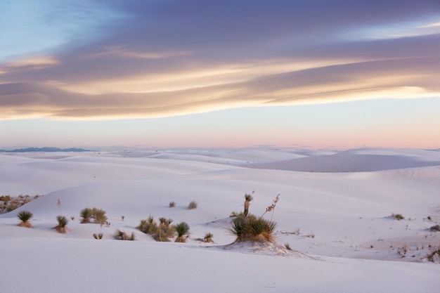 Premium Photo | White sands dunes in new mexico, usa