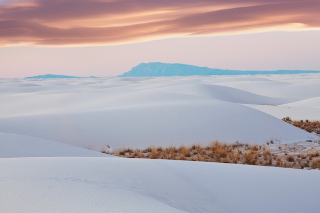 Premium Photo | White sands dunes in new mexico, usa